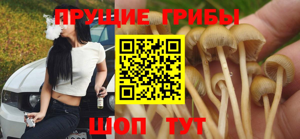 Галлюциногенные грибы ЛСД Абакан